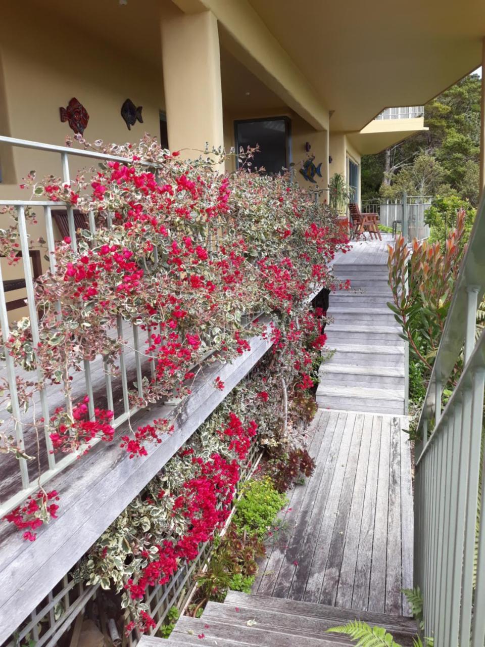 Allegra House ไปเฮีย ภายนอก รูปภาพ